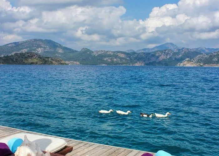 Szálloda Losta Sahil Evi 2 (adults Only) *